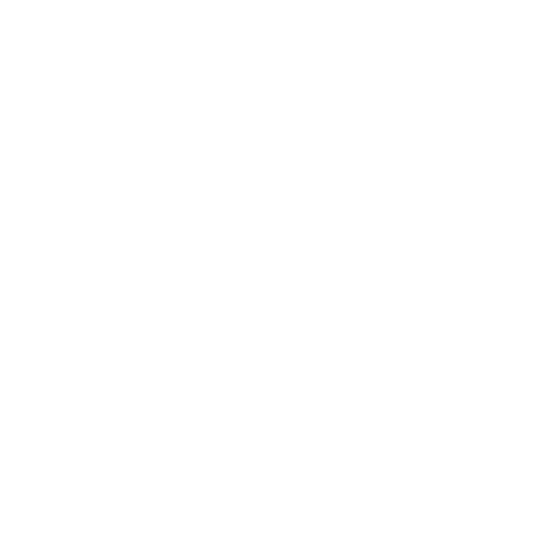 Duality Institute Logo
